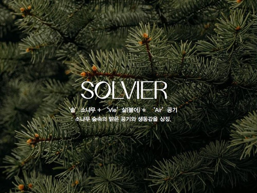 SOLVIER